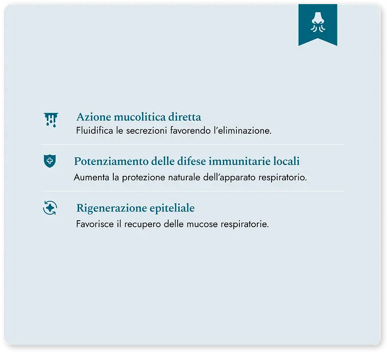 Benefici acqua termale: azione mucolitica, difese immunitarie, rigenerazione epiteliale.