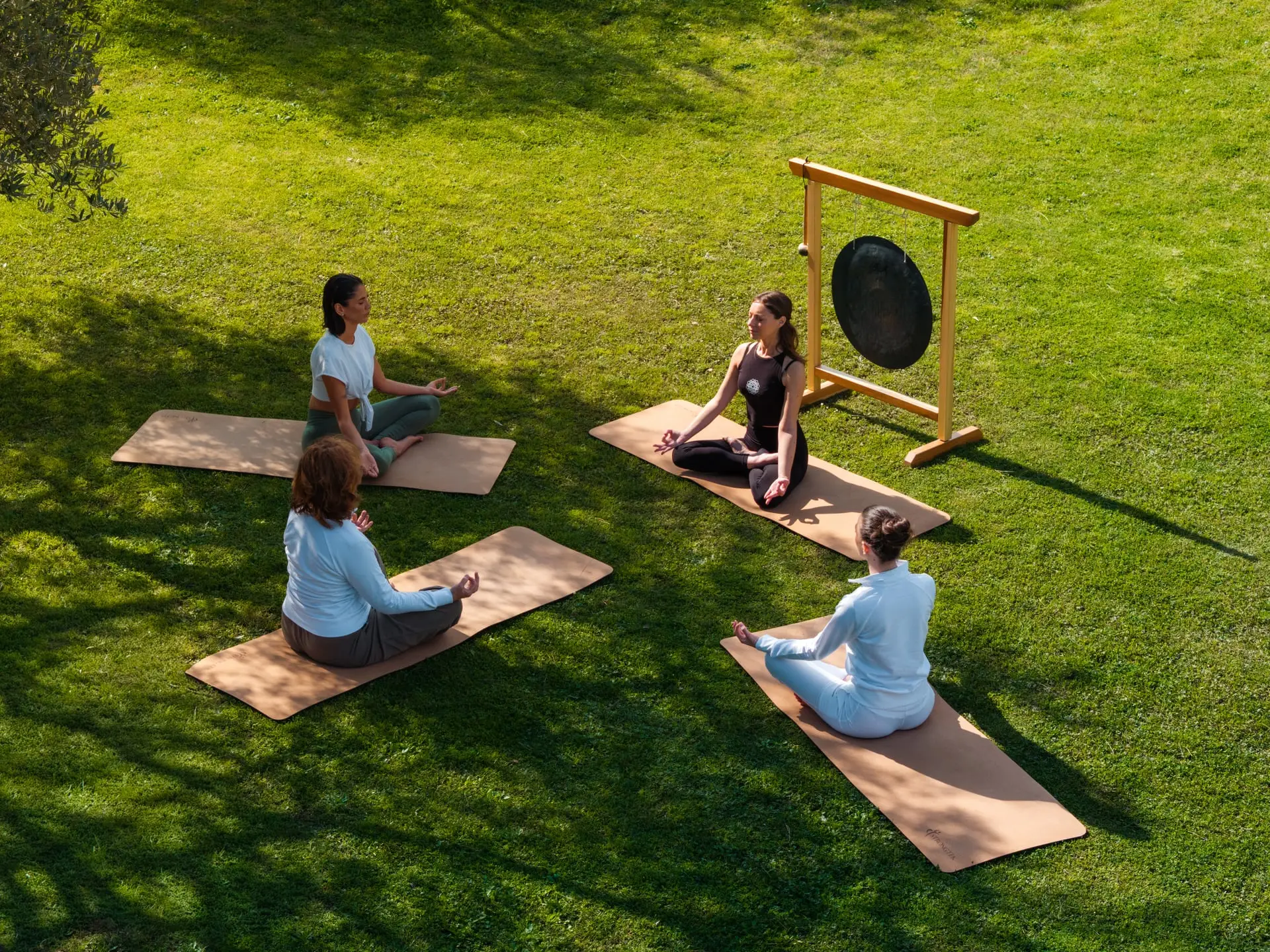 Gruppo di persone che meditano all'aperto con gong su tappetini yoga.